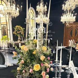 باغ عمارت سناتور